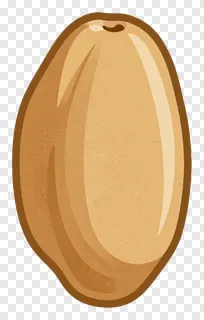 A single rice grain with a smooth, golden-brown surface.