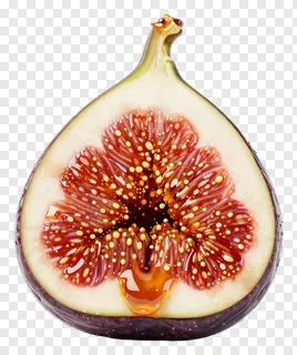 A sliced fig with honey drizzling from its center.
