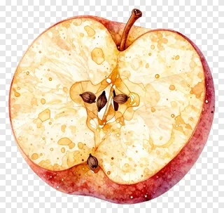 A watercolor painting of a sliced apple with seeds.