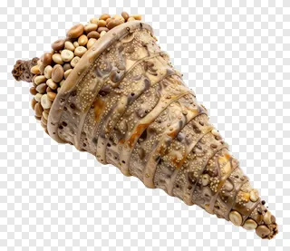 A decorative shell-shaped cornucopia filled with beans and seeds.
