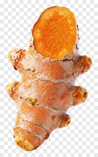Sliced turmeric root showing inner texture.