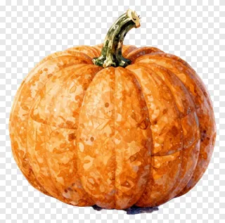 A watercolor-style pumpkin with a quilted texture.