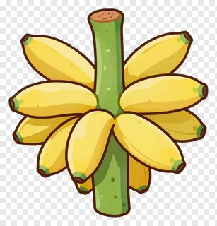 A cluster of ripe yellow bananas on a green stem.