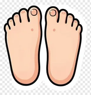 A cartoon illustration of two bare feet.
