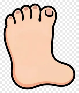 A cartoon illustration of a bare human foot.