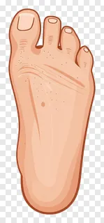 A cartoon foot with a thick outline.