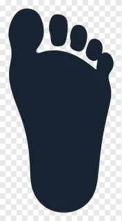 A dark blue outline of a human foot.
