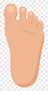 A cartoon illustration of a foot with peach skin tone.