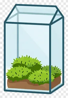 A glass terrarium filled with green moss.
