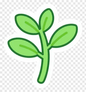 A green sprout with three leaves on a stem.