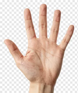 An open human hand showing five fingers.