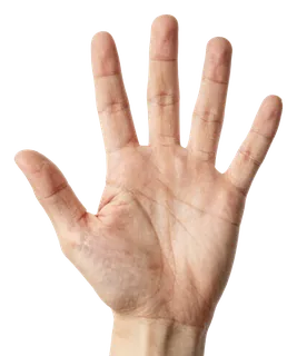 An open human hand showing five fingers.