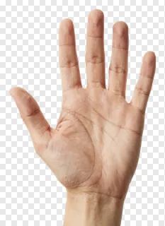 An open human hand displaying five fingers.
