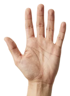 An open human hand displaying five fingers.