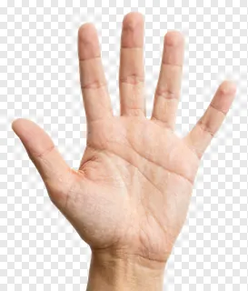 An open human hand showing five fingers.