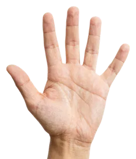 An open human hand showing five fingers.
