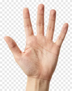 An open human hand displaying five fingers.