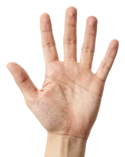 An open human hand displaying five fingers.