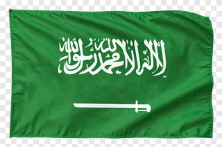 Waving Saudi Arabia flag with green background and white text.