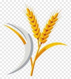 Sickle and wheat ears graphic