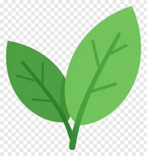 Two green leaves with visible veins.