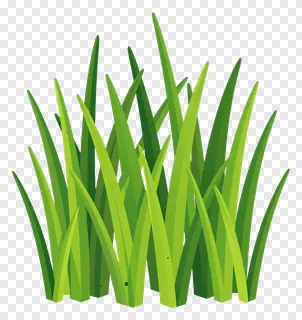 A clump of vibrant green grass blades.