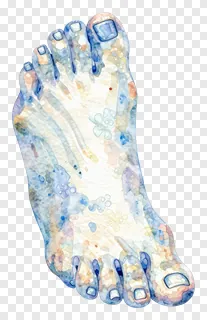 A watercolor-style illustration of a human foot.