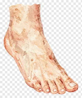 A watercolor painting of a human foot.
