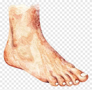 Watercolor painting of a human foot with warm tones.