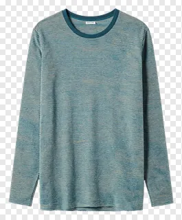 A blue and gray striped long-sleeve shirt.