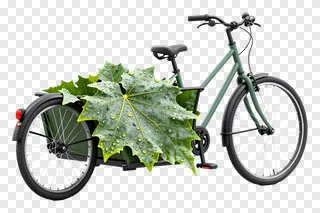 Green cargo bicycle adorned with a giant wet leaf.