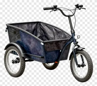 Tricycle with forest mist-patterned cargo box.